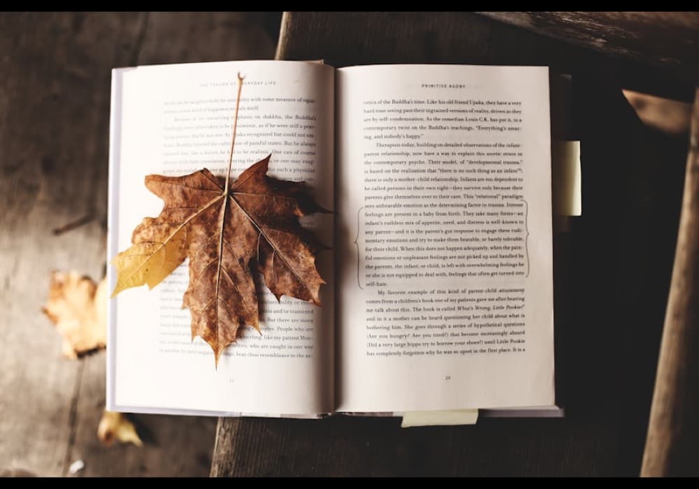 A pressed leaf resting in an open book.